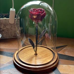 Beautiful Real Preserved Rose- Beauty & the Beast